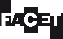 facet